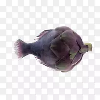 紫茄子鱼-紫茄子