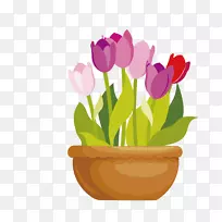 花盆画夹艺术-卡通扁郁金香PNG