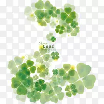 四叶草-三叶草载体