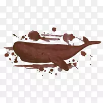 水彩画插图-棕色海豚