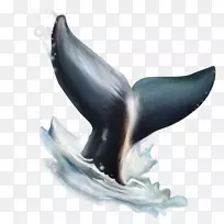 海豚水彩画剪贴画-海豚尾巴