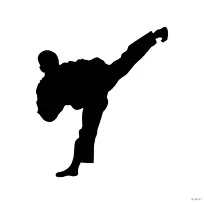 世界跆拳道剪影武术克拉夫玛加-空手道符号