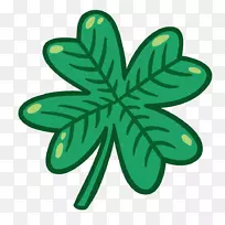 四叶草绿缘三叶草漆