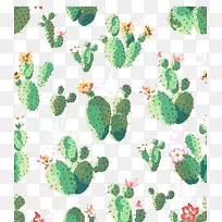 仙人掌科T恤肉质植物纺织壁纸绿色仙人掌图案背景