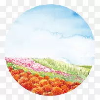 花瓣生态区圈色场
