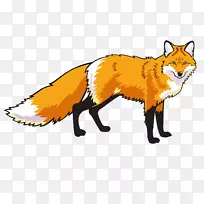 红狐画夹艺术-狐狸