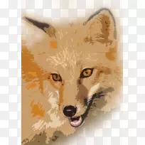 红狐拼图土狼-狐狸