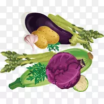 叶菜紫素菜-紫卷心菜