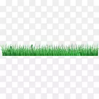 绿朴素的草