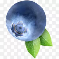 蓝莓果实-美味诱人的蓝莓
