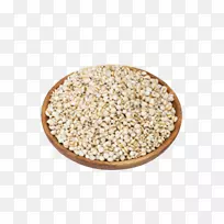 大麦Coix载体图标-特色大麦稻米
