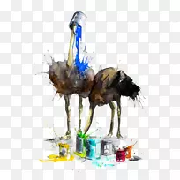 水彩画艺术家插图.用油漆材料画的鸵鸟