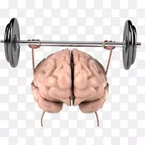 脑体运动身体力量认知训练人体脑运动举重