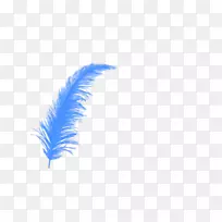 羽毛猫头鹰-蓝色羽毛浮标