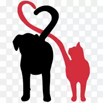 达尔马提亚犬Dogu 2013猫与宠物的关系