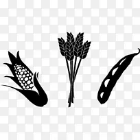 农作物农业，玉米，大豆剪贴画.大豆茎秆