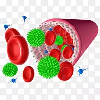 红细胞血小板图-血液病原体