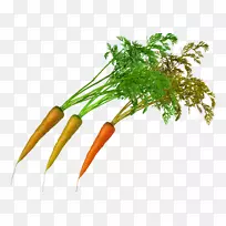 胡萝卜，超级食物，叶菜，本地食物.带绿色的胡萝卜