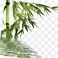竹子数字水印