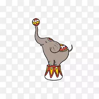 马戏团大象手绘马戏团大象