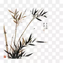 芥菜种子园竹材画手册-竹子