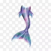 美人鱼尾巴美人鱼传奇生物童话-美丽的紫色蓝色美人鱼尾巴