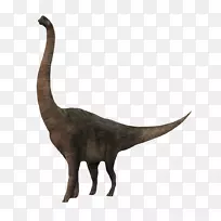 猫科恐龙-走颈恐龙