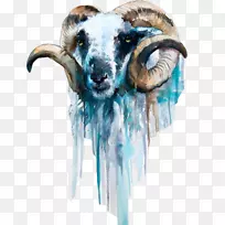 羊水彩画艺术-旧山羊水彩画素材