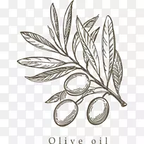 地中海菜橄榄素描手绘橄榄枝