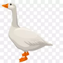 鸭家鹅天鹅-载体白色大白鸭