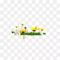 野菊花绿花设计-小草、花、野菊花、草、绿