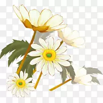 菊花xd7-图-卡通菊花图片材料PNG图片素材下载_图片编号239644