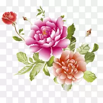 昆虫夏草，玫瑰，花卉设计，切花，牡丹，人造花-牡丹