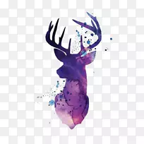 驯鹿白尾鹿剪影水彩画紫色水彩鹿