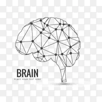 人脑神经成像人智人-载体脑