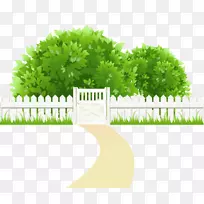 篱笆树夹艺术.绿色灌木丛悬崖