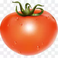 樱桃番茄水果食品蔬菜番茄载体番茄