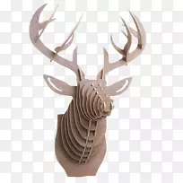 白尾鹿泡泡3D拼图麋鹿
