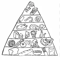 食品金字塔着色书食品组营养食品金字塔剪贴画