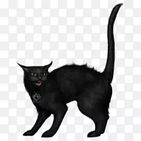 黑猫剪贴画-万圣节黑猫图片