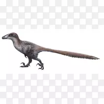 达科塔拉普特恐爪龙区-恐龙图片
