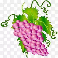 普通葡萄酒夹艺术.紫色葡萄片