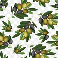 黎巴嫩菜橄榄油橄榄枝-卡通橄榄背景