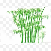竹子剪贴画-竹子