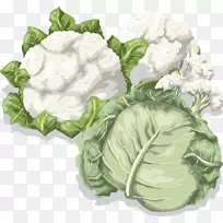 白菜花椰菜蔬菜食品菜花蔬菜PNG载体材料