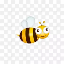 蜜蜂昆虫绘图插图-蜜蜂