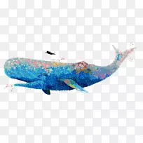 u8354u679d水彩画鲸鱼插图-画鲸鱼