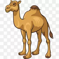 骆驼卡通-免费剪贴画-卡通骆驼材料