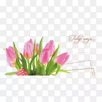 郁金香花设计母亲节快乐-美丽的郁金香