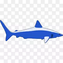 鲨鱼剪贴画-蓝鲨